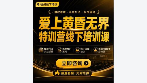 爱上黄昏无界特训营AI推广实战7月27-30杭州线下课-精品副业库