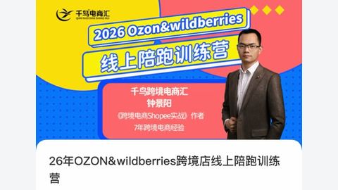 26年OZON&wildberries跨境店线上陪跑训练营-精品副业库