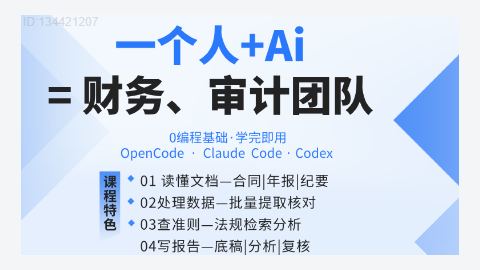 AI Agent实战落地课:一人+AI=专业财务、审计团队-精品副业库