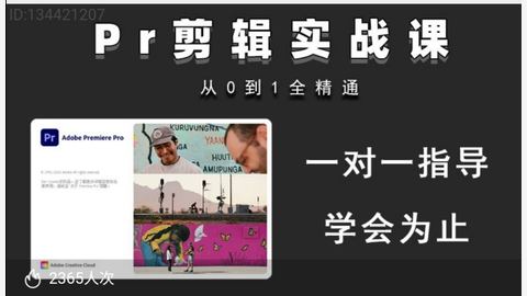 PR剪辑实战课,从0到1全精通-精品副业库
