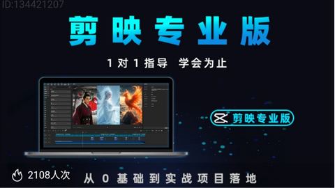 剪映专业版-精品副业库