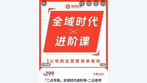 二占全域时代进阶课-精品副业库