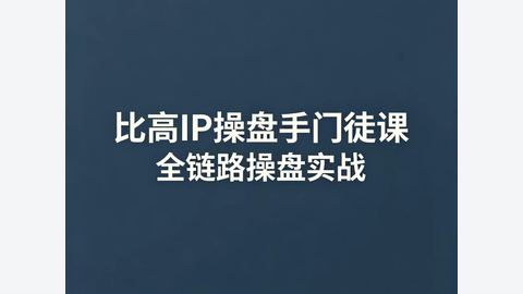 比高项目操盘手IP门徒课-精品副业库