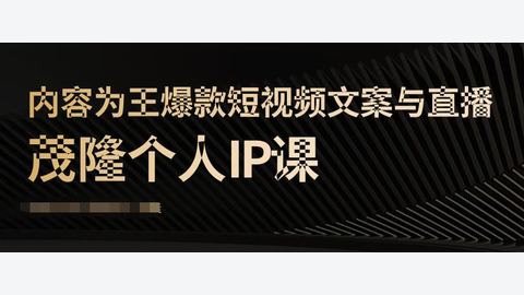 茂隆-隆哥·线下课全套资料-精品副业库