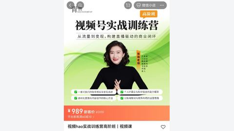 张萌视频号实战高阶班-精品副业库