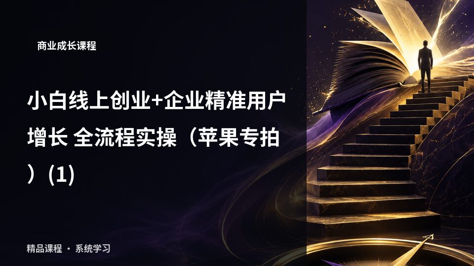 小白线上创业+企业精准用户增长 全流程实操（苹果专拍）-精品副业库