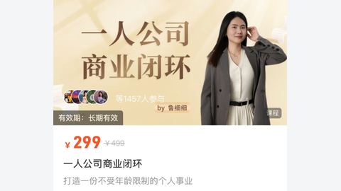 鲁细细· 一人公司商业闭环-精品副业库