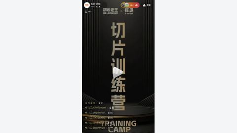胡说老王-切片训练营2期-精品副业库