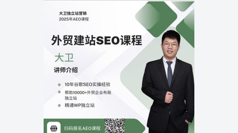 大卫-B2B外贸独立站建站+谷歌SEO-精品副业库