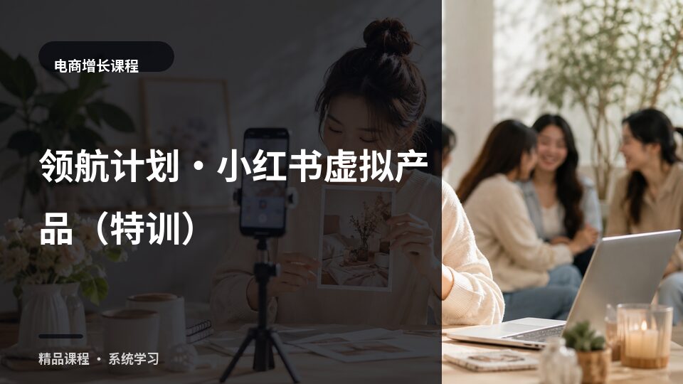 领航计划·小红书虚拟产品（特训）-精品副业库