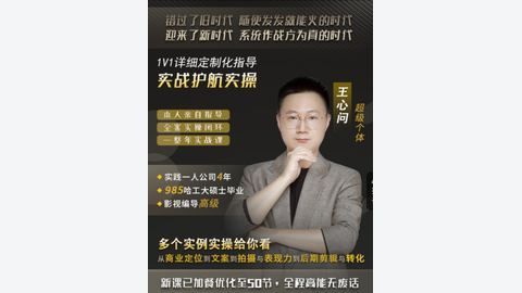 王心问-自媒体实战护航计划-精品副业库